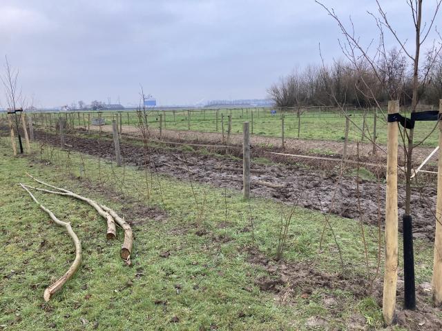 Het landschap van gemeente Veere nog mooier