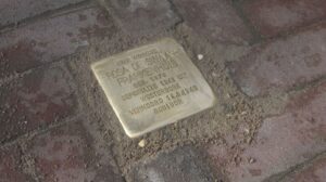 struikelsteen