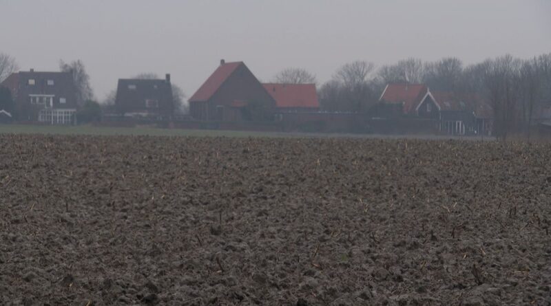 In dit landelijke gebied wil Middelburg 165 woningen bouwen© Omroep Zeeland