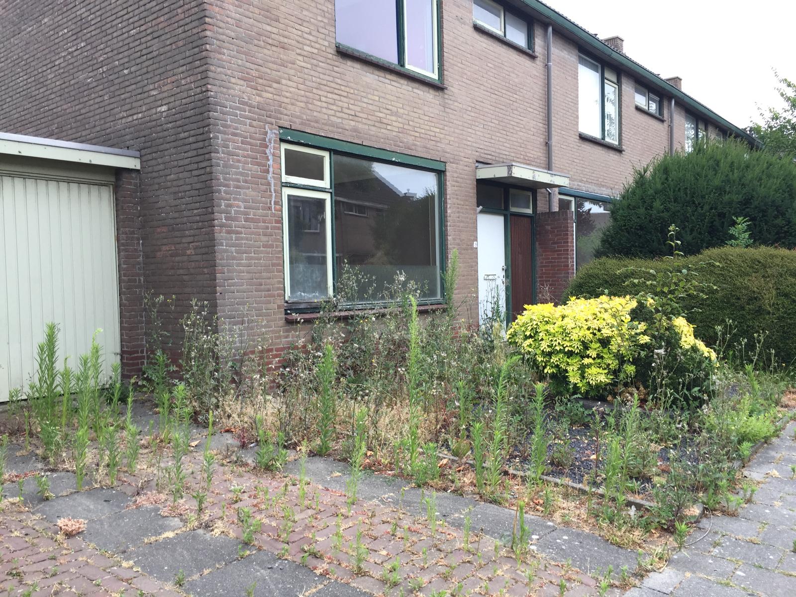 Woningen Banckertstraat eindelijk te huur aangeboden