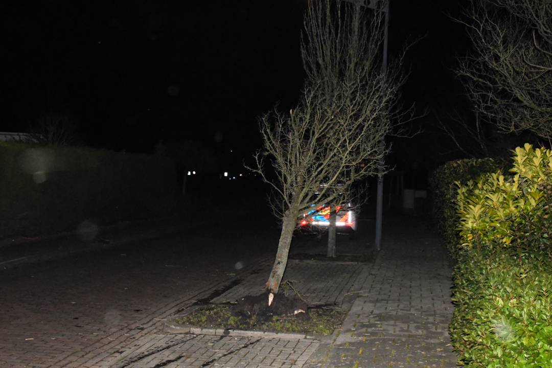 Auto rijdt tegen boompje in Middelburgse woonwijk