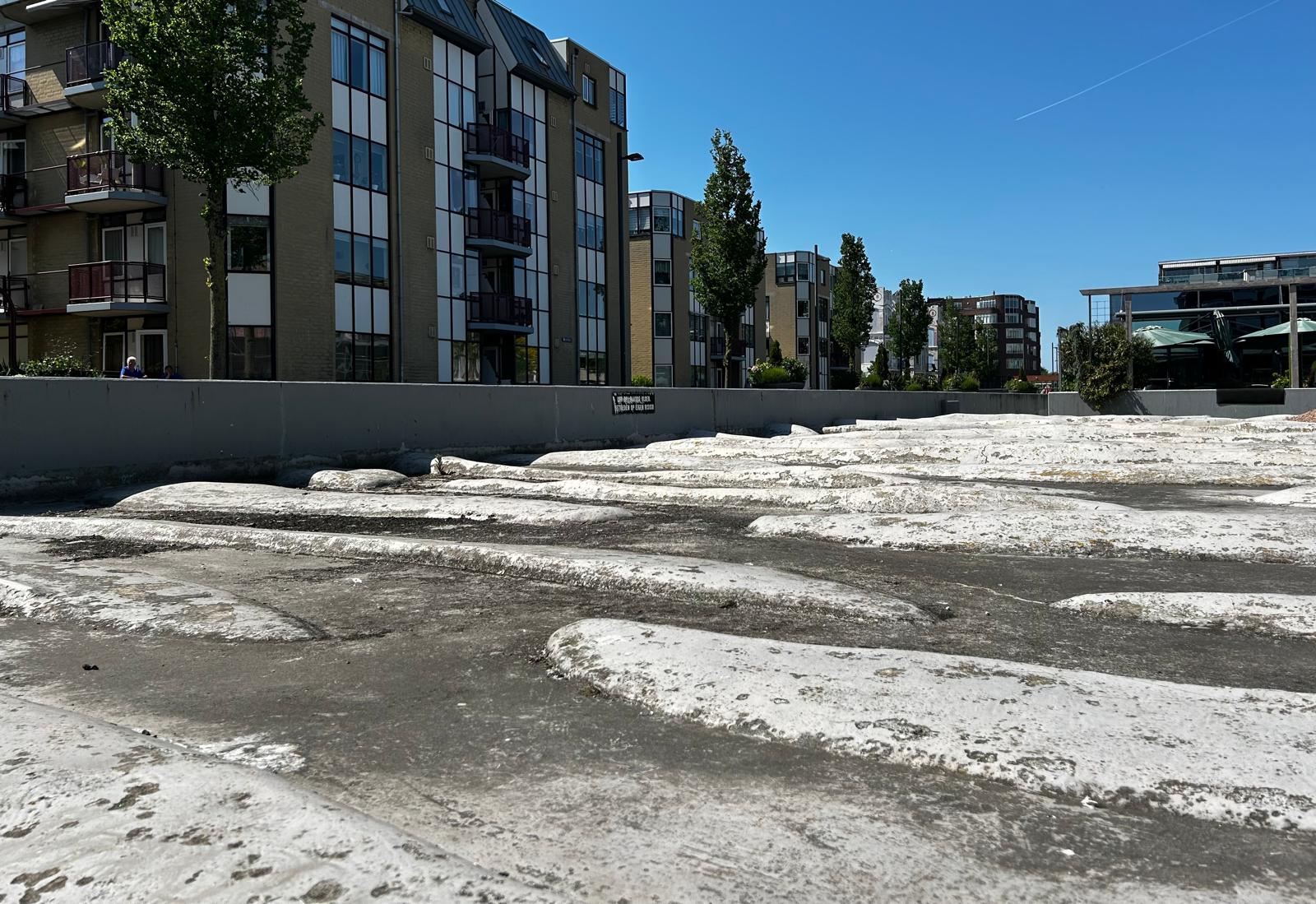Getijdenbak wordt bloemenzee