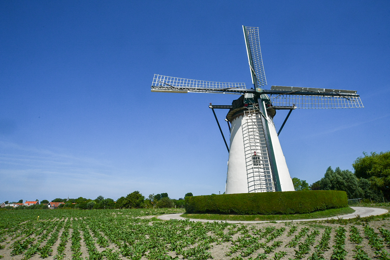Provincie verdubbelt draaipremie voor Zeeuwse molens