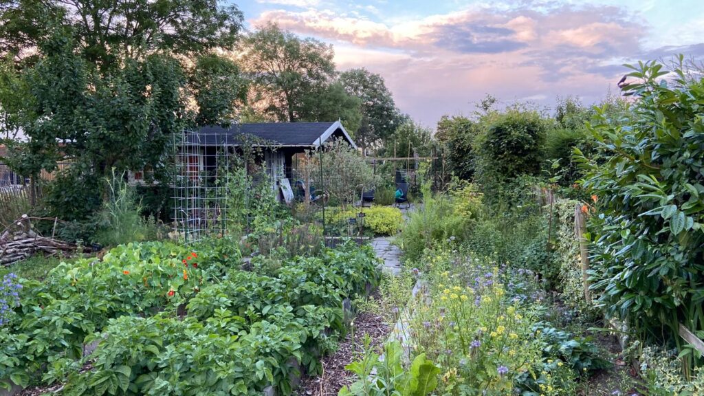 Bodemonderzoek PFAS volkstuinen Veere