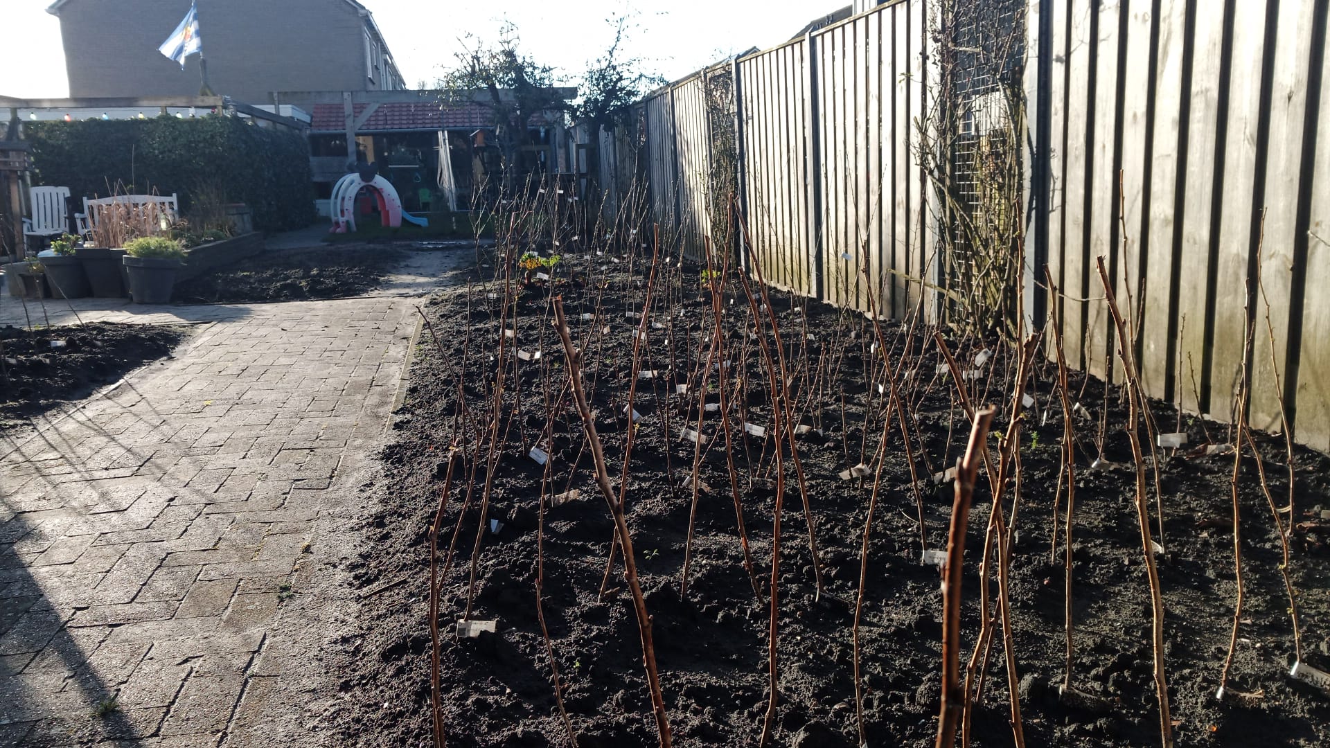 Dorpsraad Souburg deelt gratis fruitboompjes uit