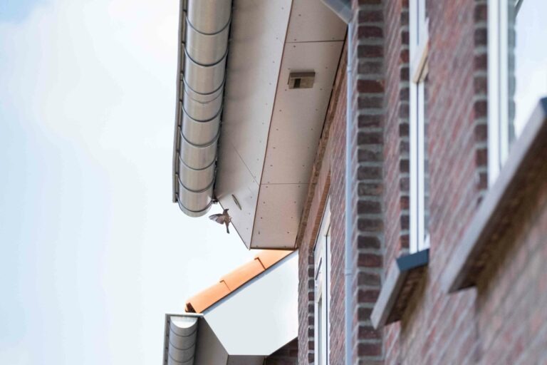 Vleermuiskasten Middelburg in de wacht