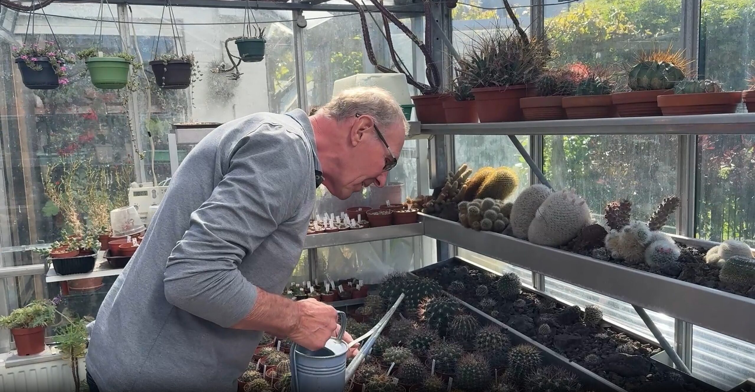 “Walcherse Hobby’s” Afl 1: Cactussen