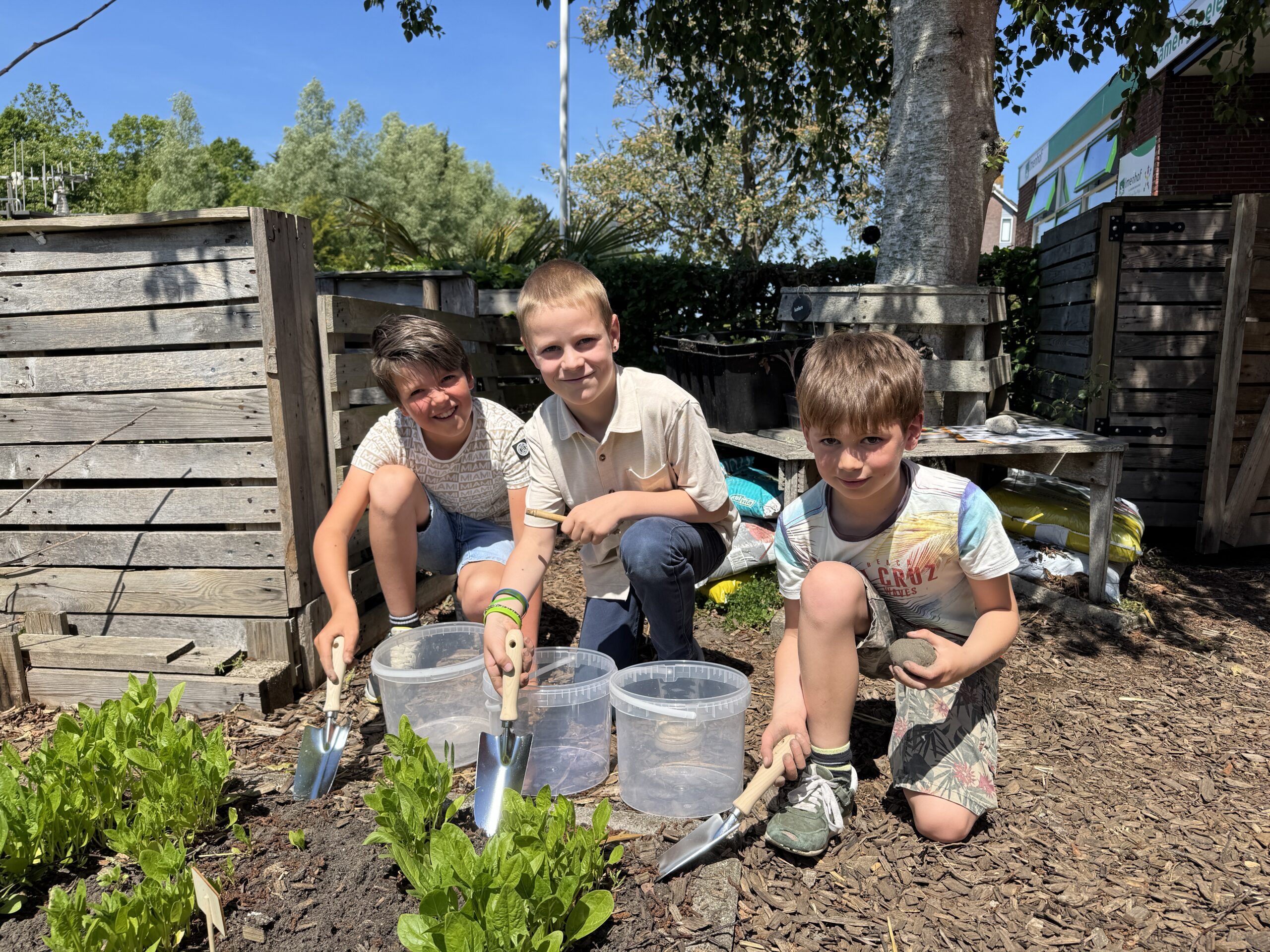 Leerlingen Sint Laurens kweken groene vingers