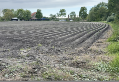 Toch sterke twijfels in gemeenteraad over locatie voor Skaeve Huse Middelburg