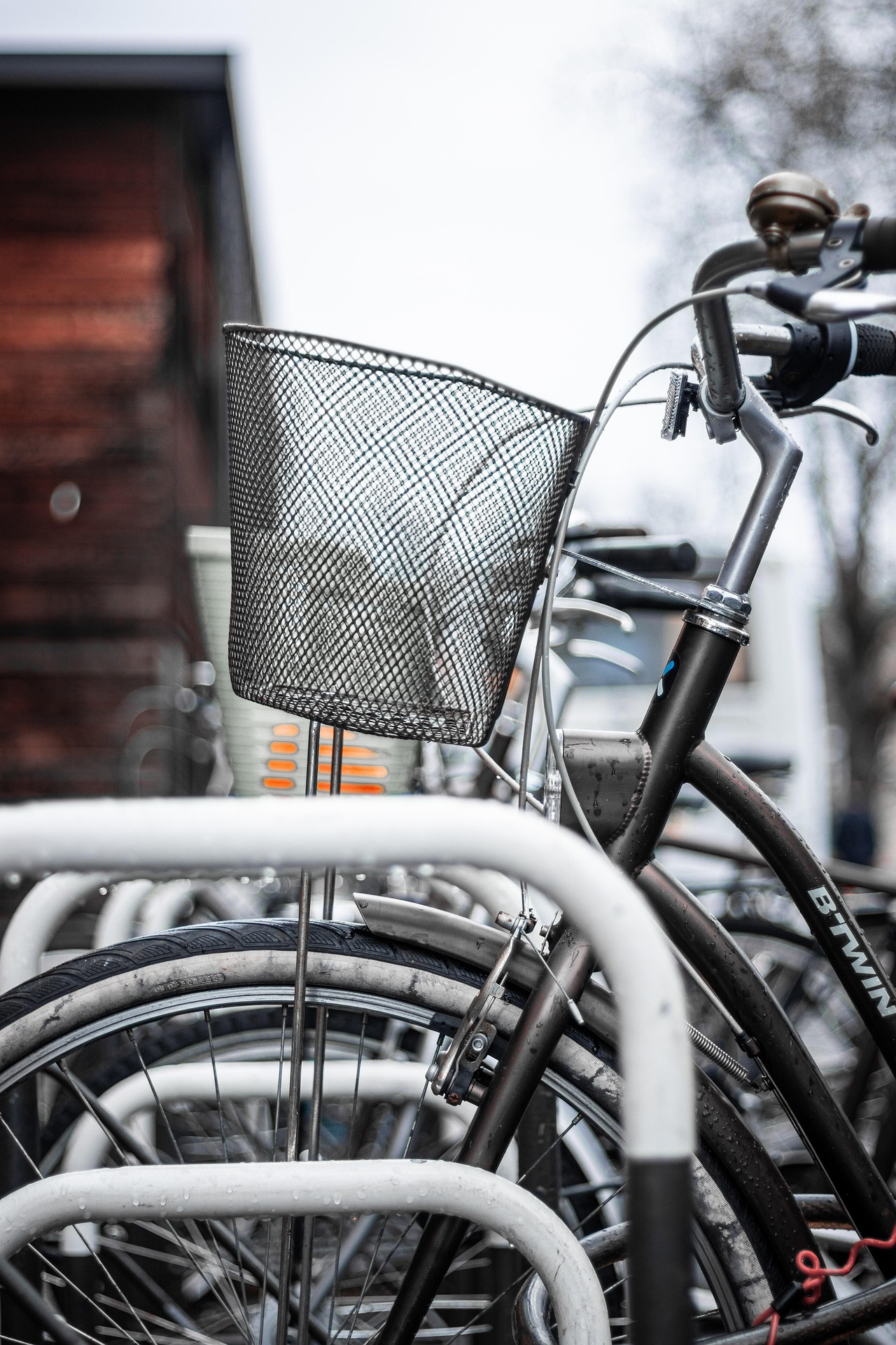 Fietsen langs de kust in Middelburg