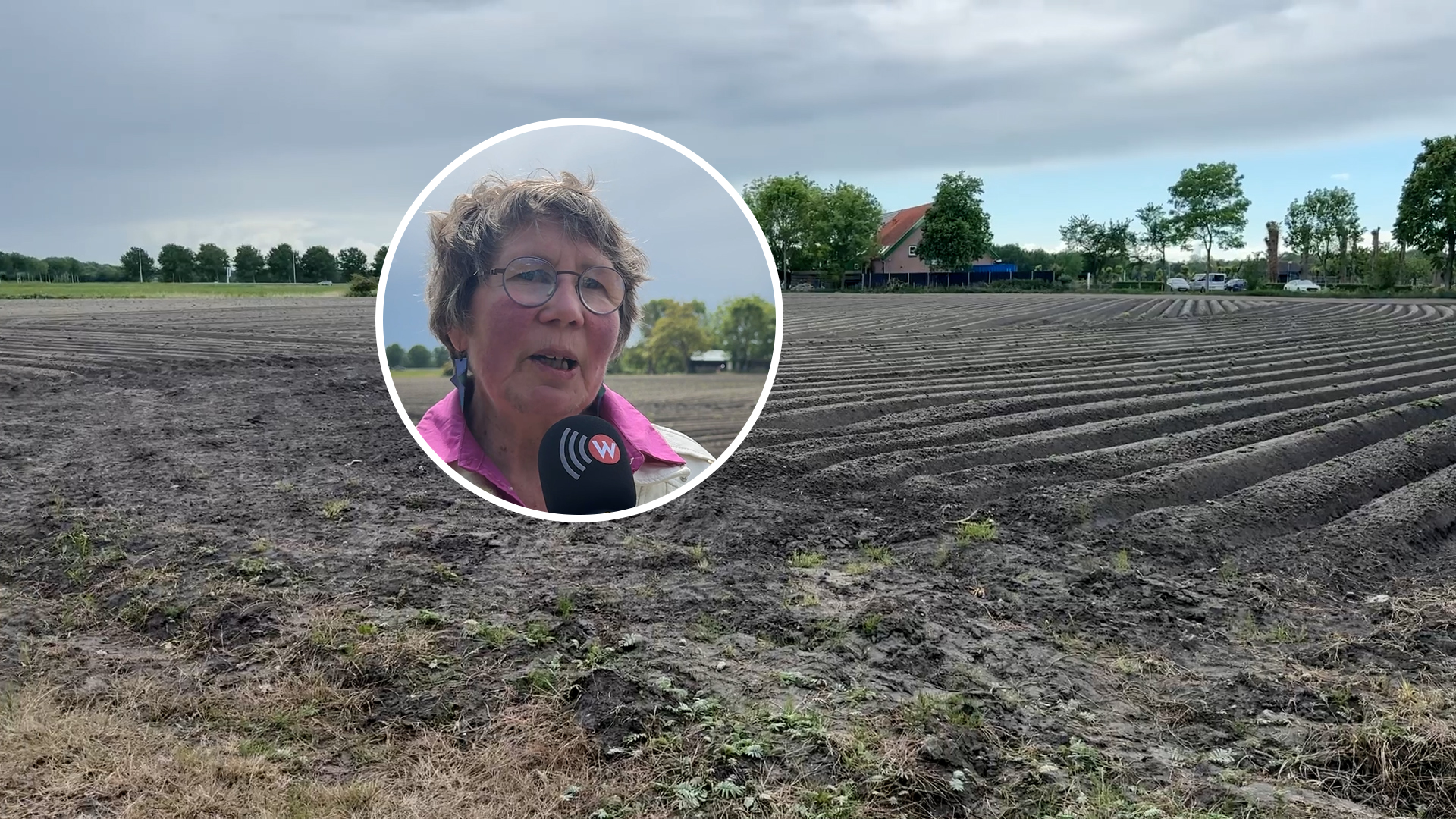 Veel zorgen over locatie Skaeve Huse op de Golsteijnseweg