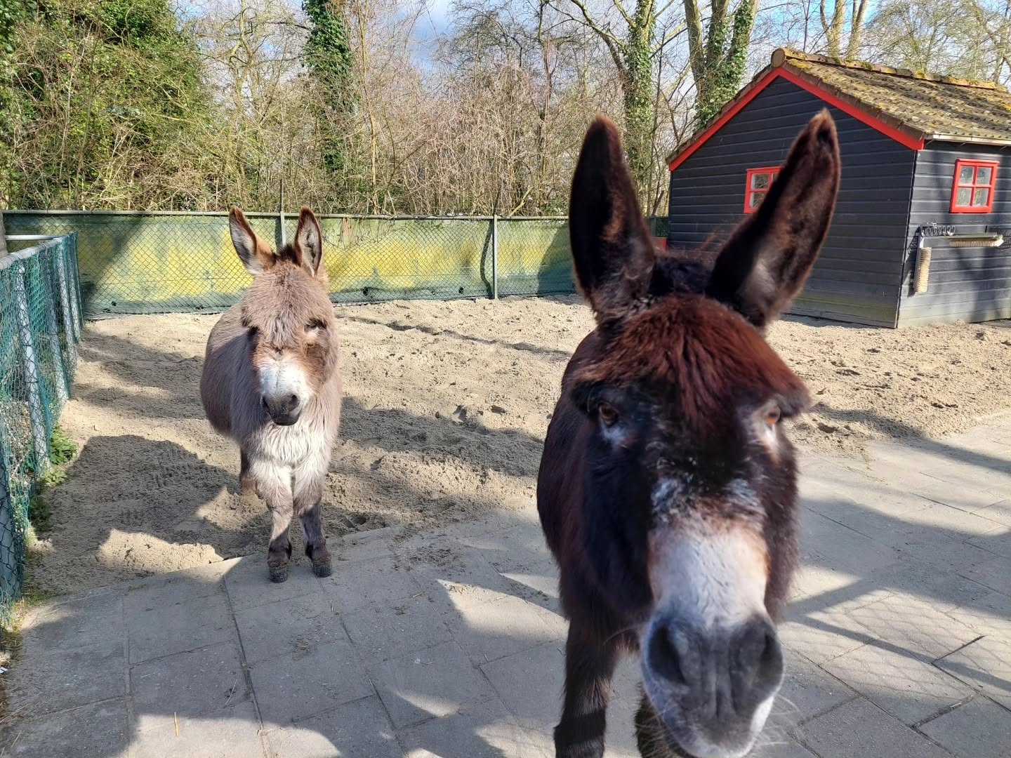 Zorgen over toekomst Klepperhoeve in Middelburg