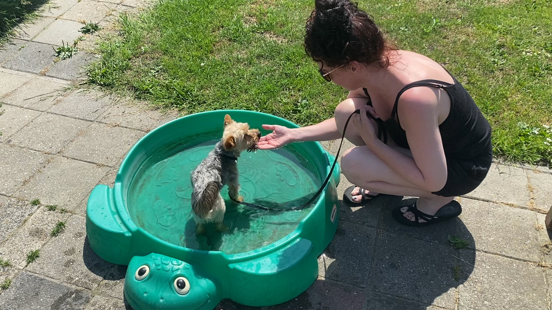 Asiel let in deze hitte extra goed op de dieren