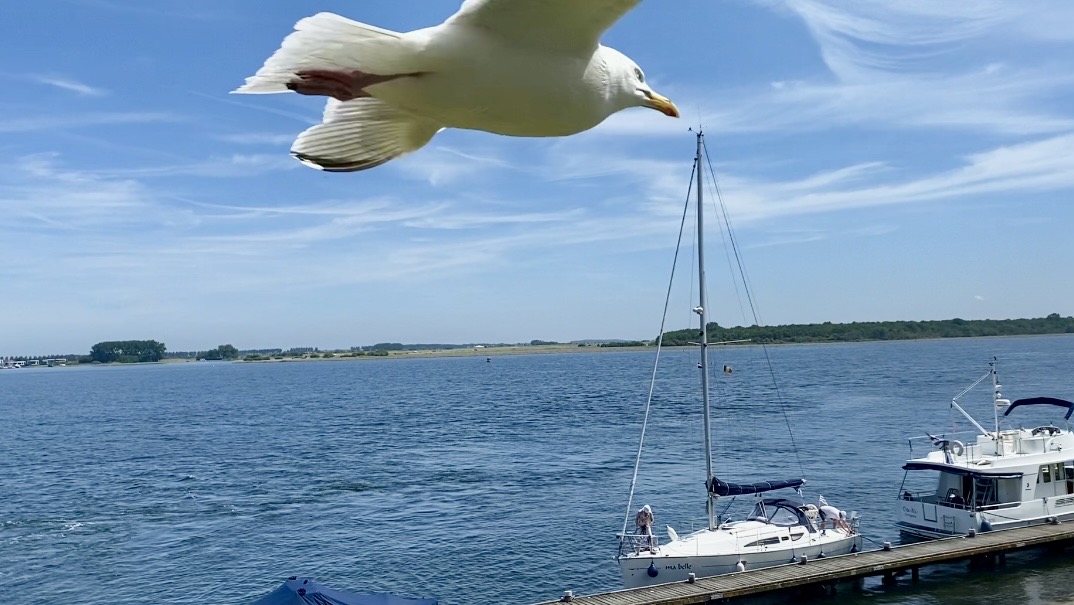 Het Veerse Meer, een plek om te ontdekken