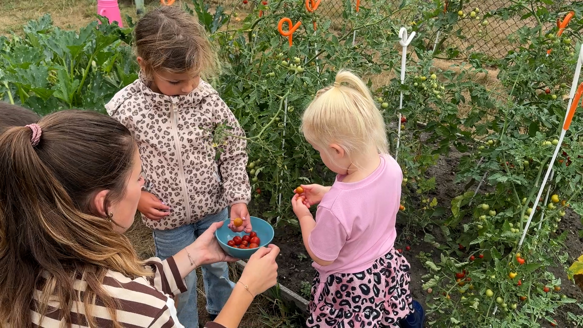 Op bezoek bij de agrarische kinderopvang in Aagtekerke