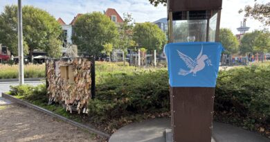 Foto Vredesvlam Bellamypark