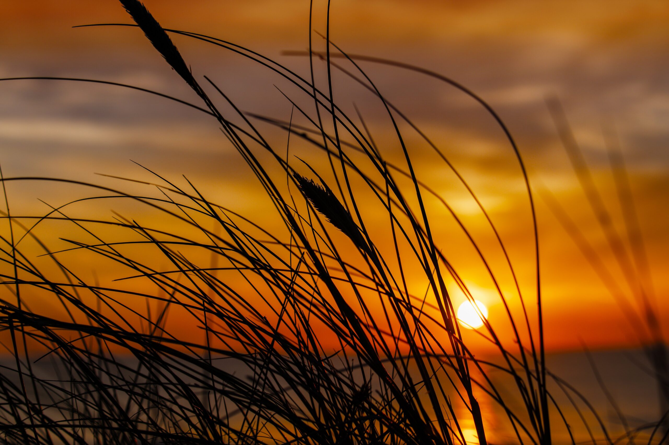 Foto zonsondergang strand